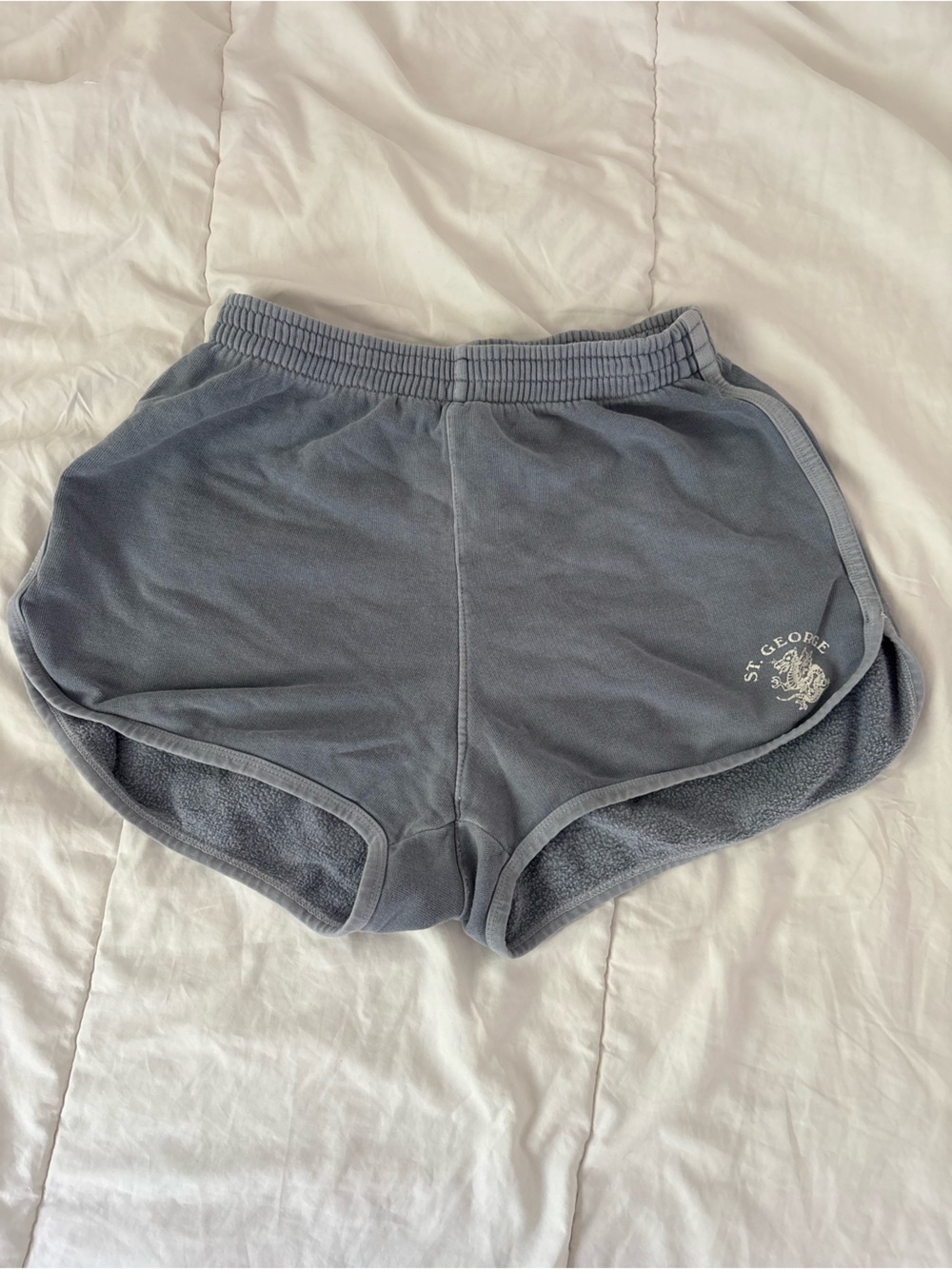 Brandy Melville Dusty Blue St George Shorts